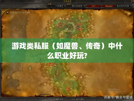 游戏类私服（如魔兽、传奇）中什么职业好玩?