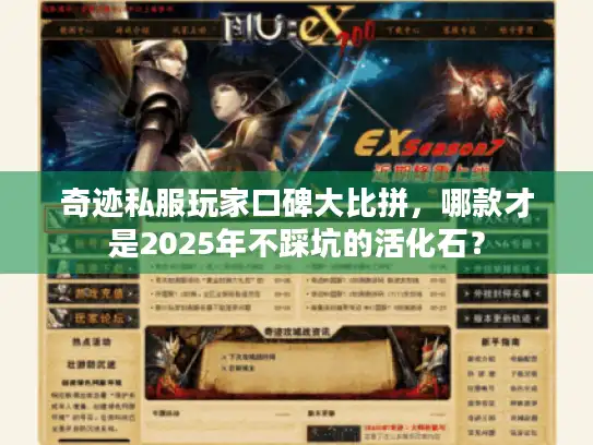 奇迹私服玩家口碑大比拼，哪款才是2025年不踩坑的活化石？
