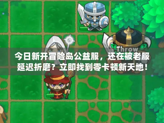 今日新开冒险岛公益服，还在被老服延迟折磨？立即找到零卡顿新天地！