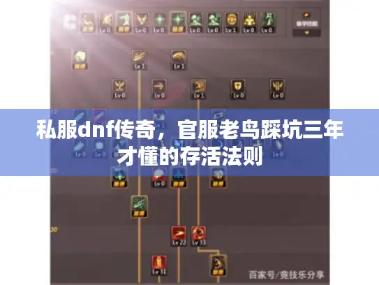 私服dnf传奇，官服老鸟踩坑三年才懂的存活法则