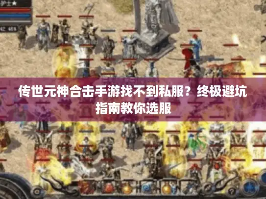 传世元神合击手游找不到私服？终极避坑指南教你选服