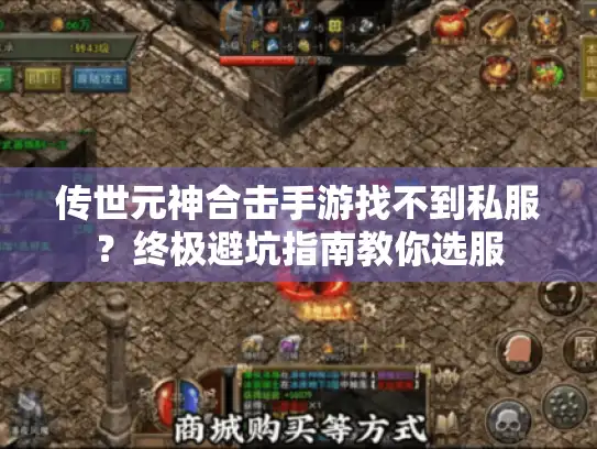 传世元神合击手游找不到私服？终极避坑指南教你选服