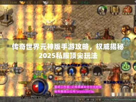 传奇世界元神版手游攻略，权威揭秘2025私服顶尖玩法