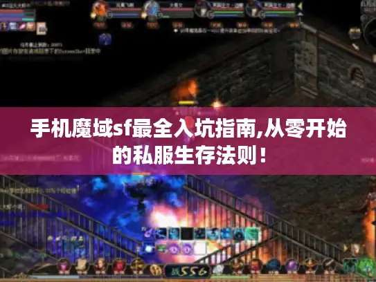 手机魔域sf最全入坑指南,从零开始的私服生存法则！