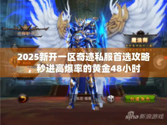 2025新开一区奇迹私服首选攻略，秒进高爆率的黄金48小时