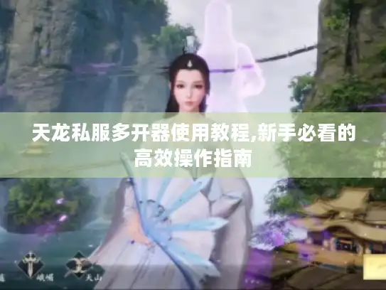 天龙私服多开器使用教程,新手必看的高效操作指南