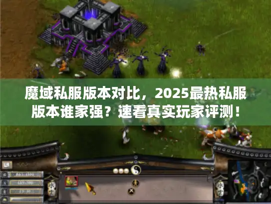 魔域私服版本对比，2025最热私服版本谁家强？速看真实玩家评测！