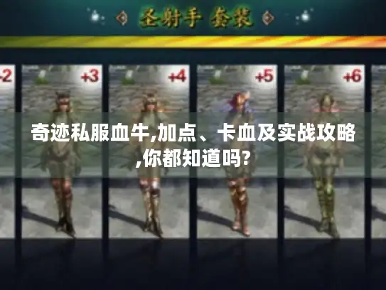 奇迹私服血牛,加点、卡血及实战攻略,你都知道吗?
