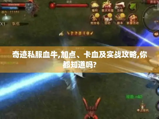 奇迹私服血牛,加点、卡血及实战攻略,你都知道吗?