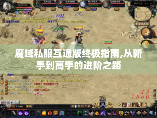 魔域私服互通版终极指南,从新手到高手的进阶之路 魔域私服互通版终极指南,从新手到高手的进阶之路