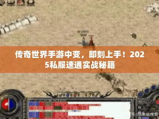 传奇世界手游中变,即刻上手!2025私服速通实战秘籍 传奇世界手游中变,即刻上手!2025私服速通实战秘籍