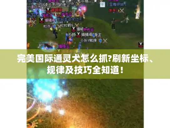 完美国际通灵犬怎么抓?刷新坐标、规律及技巧全知道! 完美国际通灵犬怎么抓?刷新坐标、规律及技巧全知道!