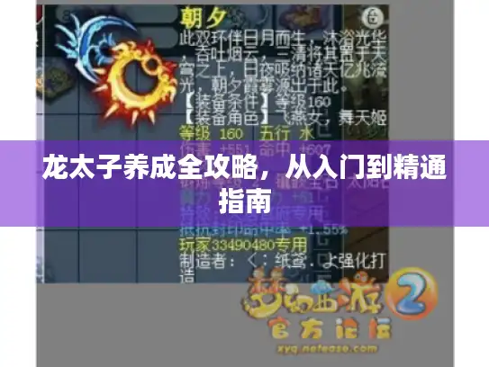 龙太子养成全攻略，从入门到精通指南