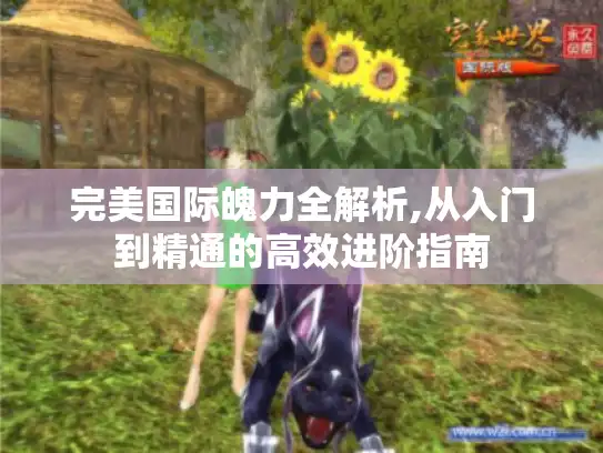 完美国际魄力全解析,从入门到精通的高效进阶指南