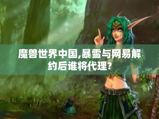 魔兽世界中国,暴雪与网易解约后谁将代理?