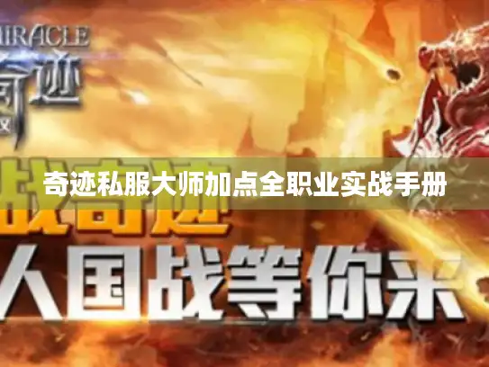 奇迹私服大师加点全职业实战手册 奇迹私服大师加点全职业实战手册