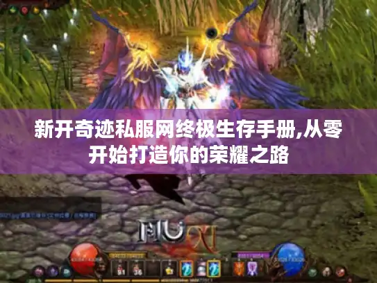 新开奇迹私服网终极生存手册,从零开始打造你的荣耀之路 新开奇迹私服网终极生存手册,从零开始打造你的荣耀之路