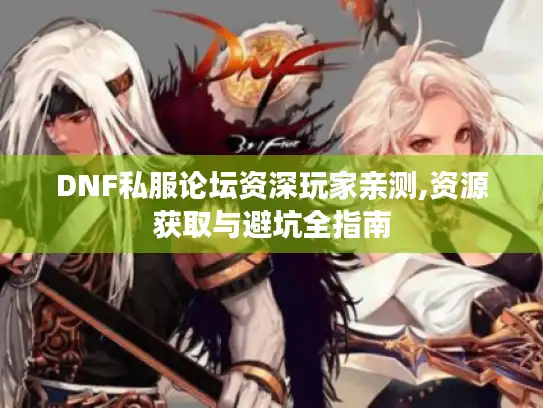 DNF私服论坛资深玩家亲测,资源获取与避坑全指南