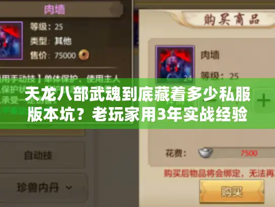 天龙八部武魂到底藏着多少私服版本坑?老玩家用3年实战经验帮你避坑 天龙八部武魂到底藏着多少私服版本坑?老玩家用3年实战经验帮你避坑