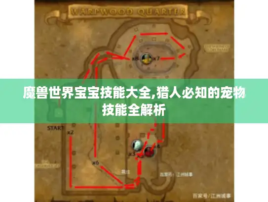 魔兽世界宝宝技能大全,猎人必知的宠物技能全解析