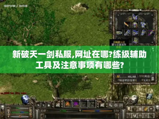 新破天一剑私服,网址在哪?练级辅助工具及注意事项有哪些?