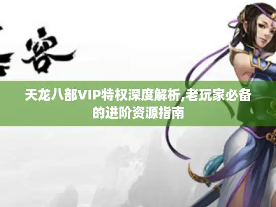 天龙八部VIP特权深度解析,老玩家必备的进阶资源指南
