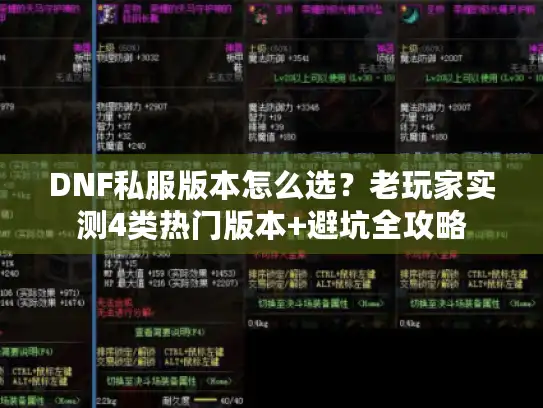 DNF私服版本怎么选？老玩家实测4类热门版本+避坑全攻略