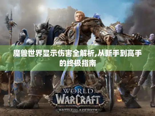 魔兽世界显示伤害全解析,从新手到高手的终极指南