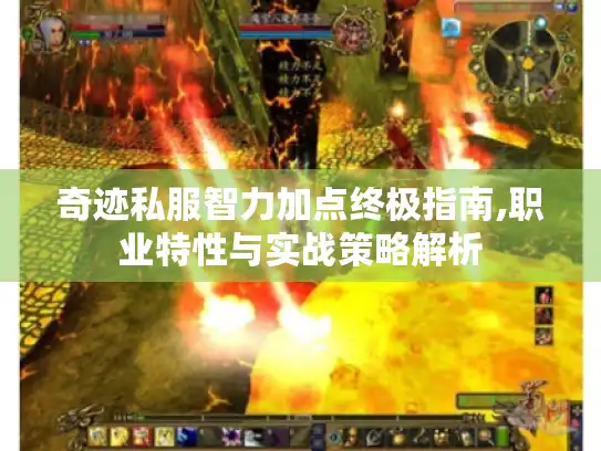 奇迹私服智力加点终极指南,职业特性与实战策略解析