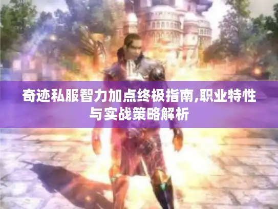 奇迹私服智力加点终极指南,职业特性与实战策略解析