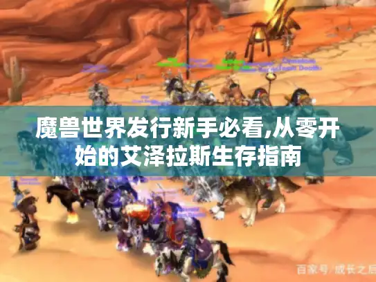 魔兽世界发行新手必看,从零开始的艾泽拉斯生存指南