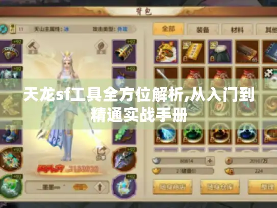 天龙sf工具全方位解析,从入门到精通实战手册