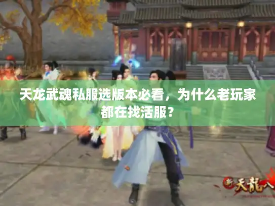 天龙武魂私服选版本必看，为什么老玩家都在找活服？