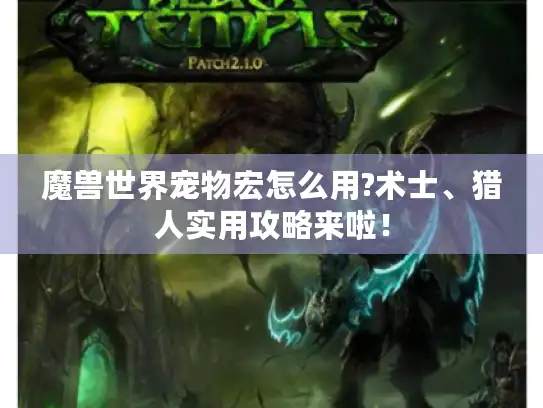 魔兽世界宠物宏怎么用?术士、猎人实用攻略来啦！