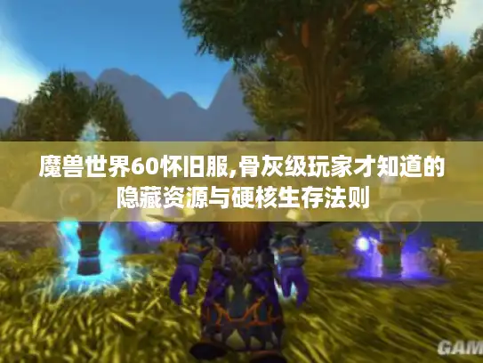 魔兽世界60怀旧服,骨灰级玩家才知道的隐藏资源与硬核生存法则