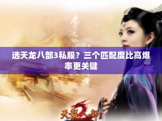 选天龙八部3私服?三个匹配度比高爆率更关键 选天龙八部3私服?三个匹配度比高爆率更关键
