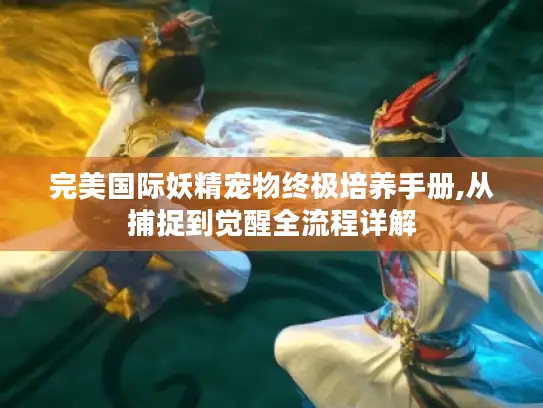 完美国际妖精宠物终极培养手册,从捕捉到觉醒全流程详解 完美国际妖精宠物终极培养手册,从捕捉到觉醒全流程详解