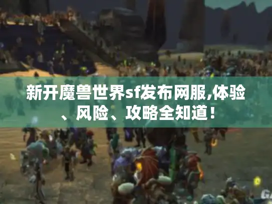 新开魔兽世界sf发布网服,体验、风险、攻略全知道！