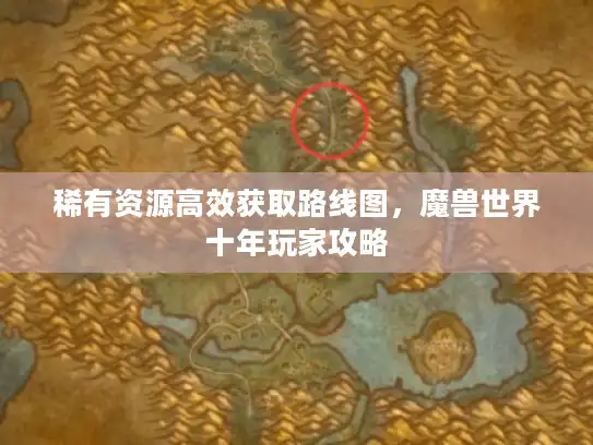 稀有资源高效获取路线图，魔兽世界十年玩家攻略