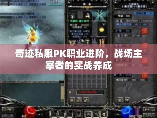 奇迹私服PK职业进阶，战场主宰者的实战养成