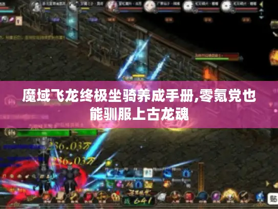 魔域飞龙终极坐骑养成手册,零氪党也能驯服上古龙魂