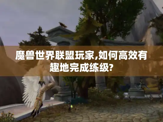 魔兽世界联盟玩家,如何高效有趣地完成练级? 魔兽世界联盟玩家,如何高效有趣地完成练级?