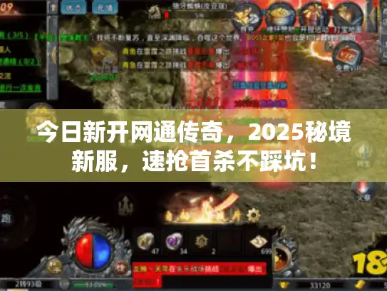 今日新开网通传奇，2025秘境新服，速抢首杀不踩坑！