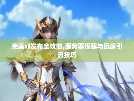 完美sf发布全攻略,服务器搭建与玩家引流技巧