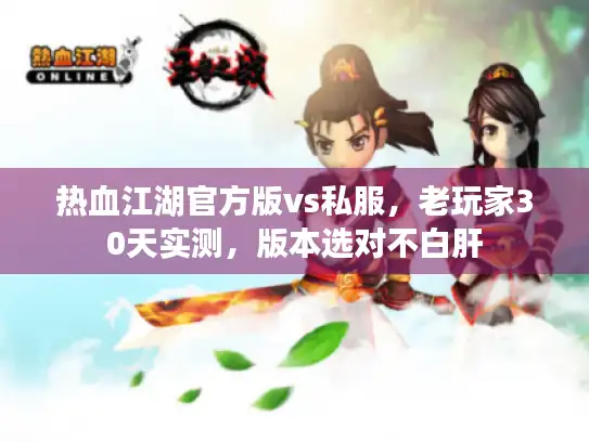 热血江湖官方版vs私服，老玩家30天实测，版本选对不白肝