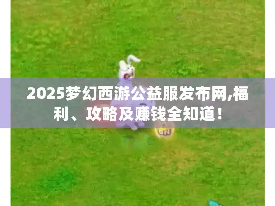 2025梦幻西游公益服发布网,福利、攻略及赚钱全知道！