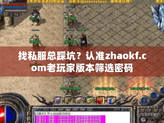 找私服总踩坑？认准zhaokf.com老玩家版本筛选密码