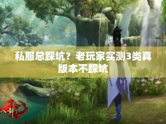 私服总踩坑？老玩家实测3类真版本不踩坑
