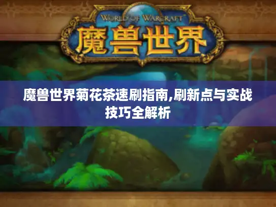 魔兽世界菊花茶速刷指南,刷新点与实战技巧全解析