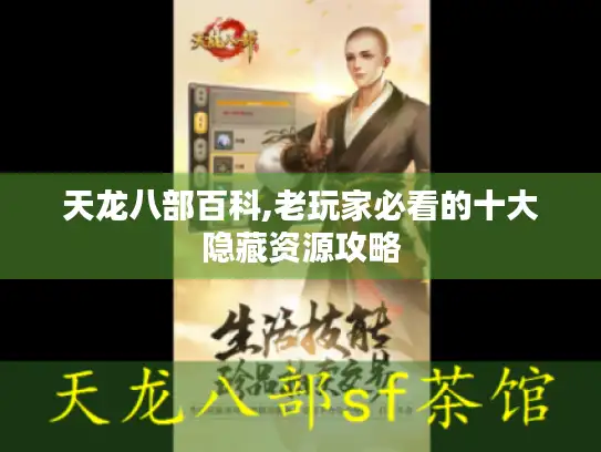 天龙八部百科,老玩家必看的十大隐藏资源攻略